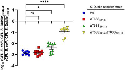 Identification of Type VI Secretion Systems Effector Proteins That Contribute to Interbacterial Competition in Salmonella Dublin